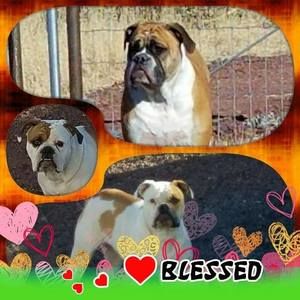 Meet your Posher, Tracey